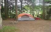 Site 81 at Meadowbrook Camping Area