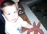 Maine State Aquarium