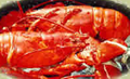Lobsters at Meadowbrook